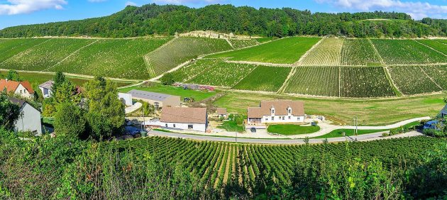 Panoramic view of countryside and vineyards in Chablis area Burgundy France